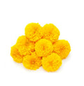 Marigold Flower - Yellow