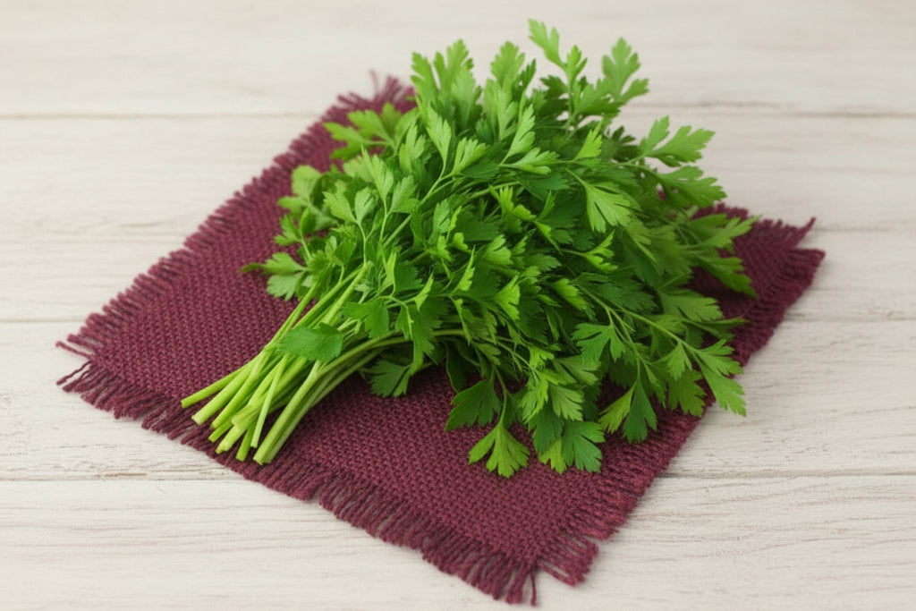 Coriander (cleaned and Packed)