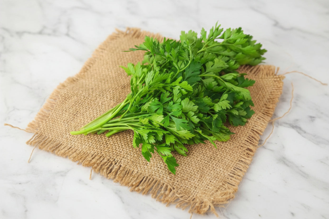 Coriander (cleaned and Packed)
