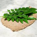 Curry Leaves