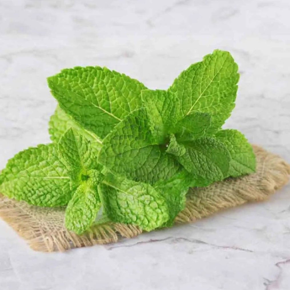 Mint (cleaned and Packed)