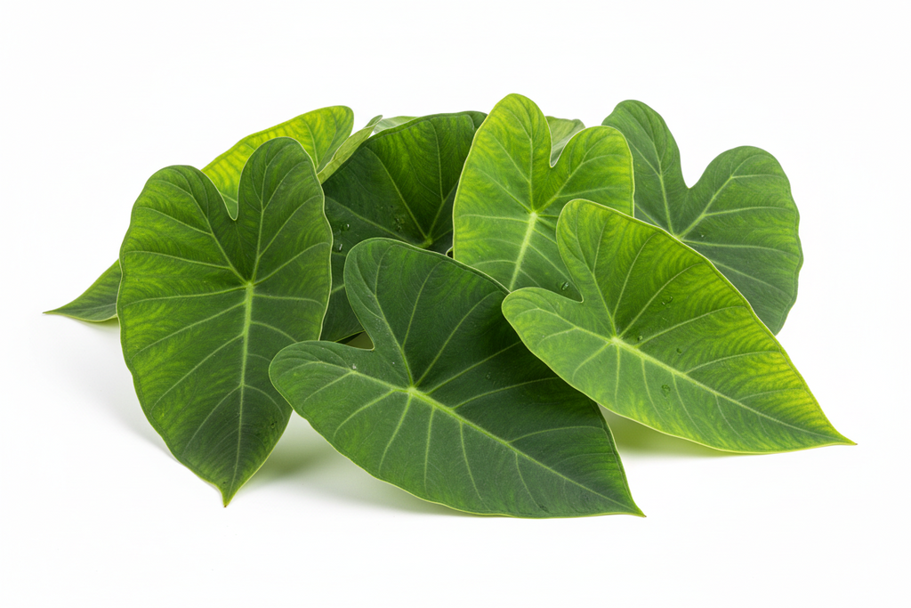 Allu leaves with steam