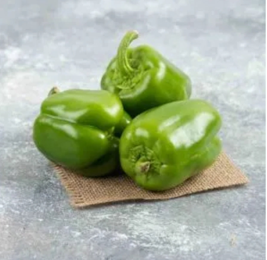 Capsicum Green