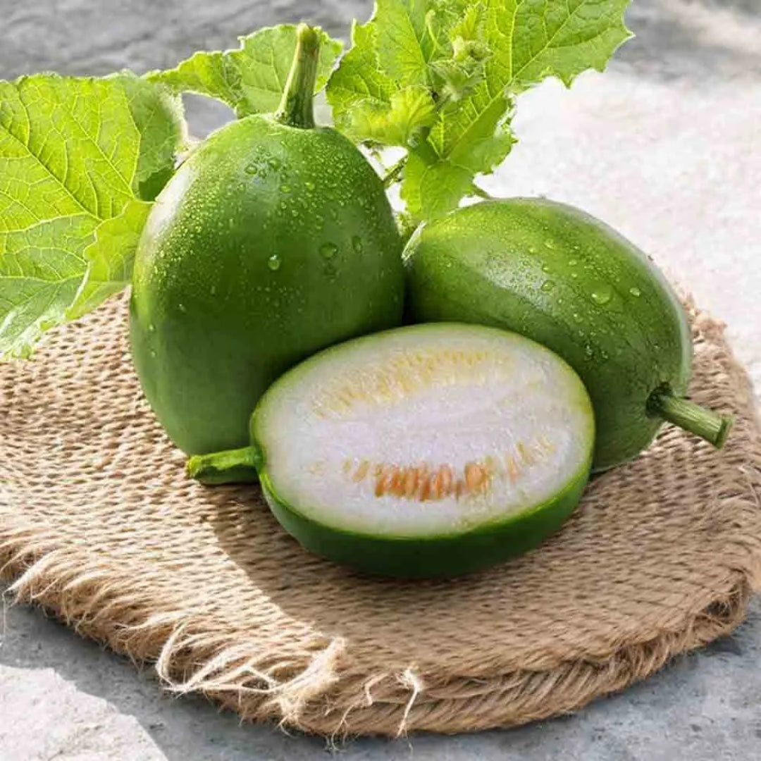 Ash Gourd(White Pumpkin) ( Approx.800g to 1200g)