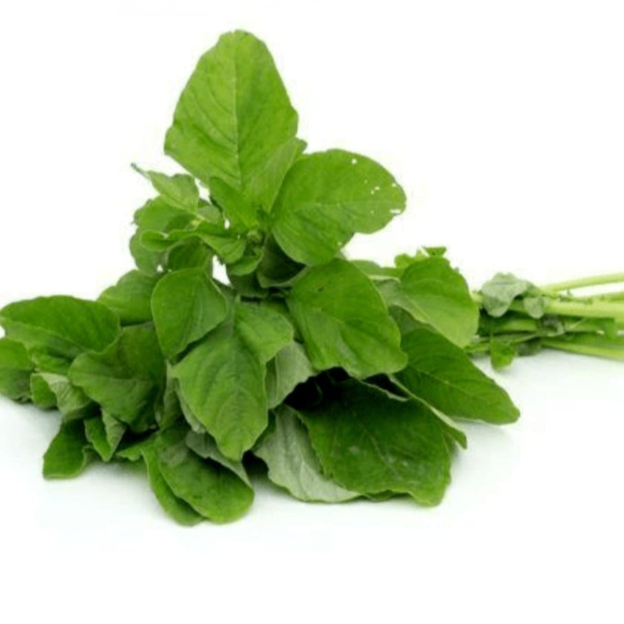 Amaranthus Green-math