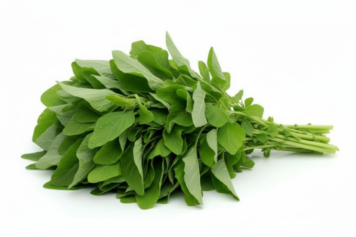 Amaranthus Green-math