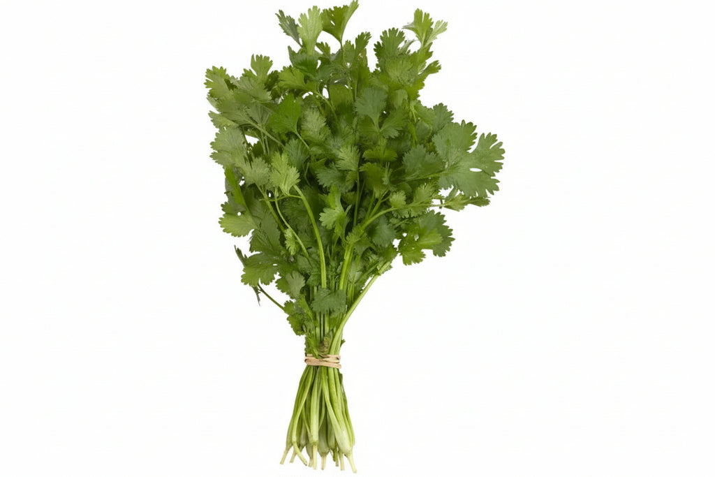 Coriander Bunch