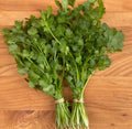 Coriander Bunch