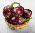 Brinjal Stripes