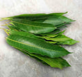 Mango Leaves