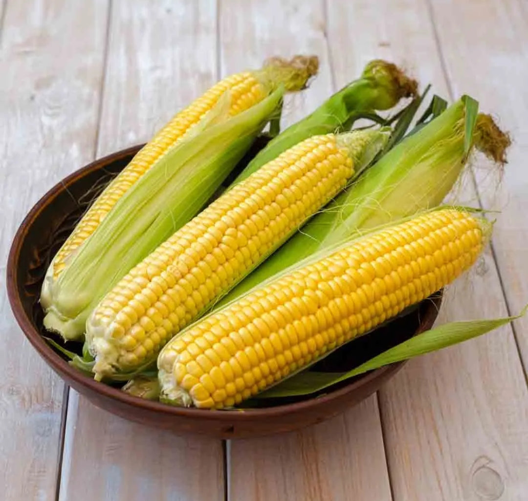 Sweet Corn