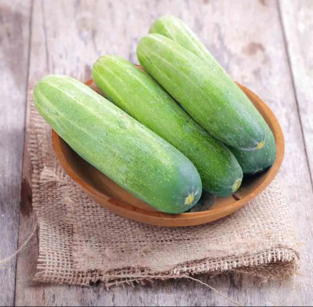 Cucumber Green (kakadi-Hirvi)